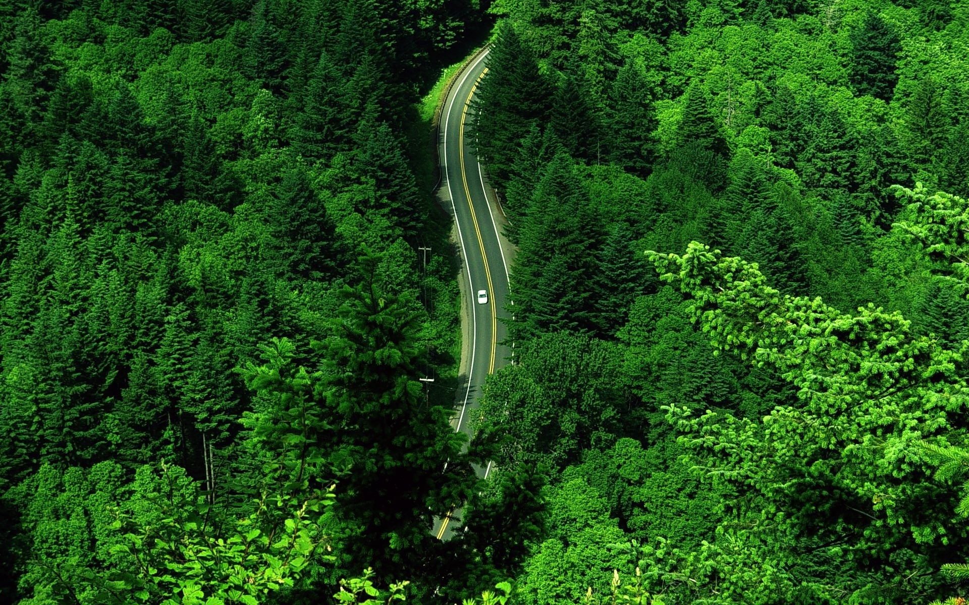 paisagens madeira natureza árvore folha paisagem ao ar livre água exuberante viajar verão ambiente parque cênica floresta