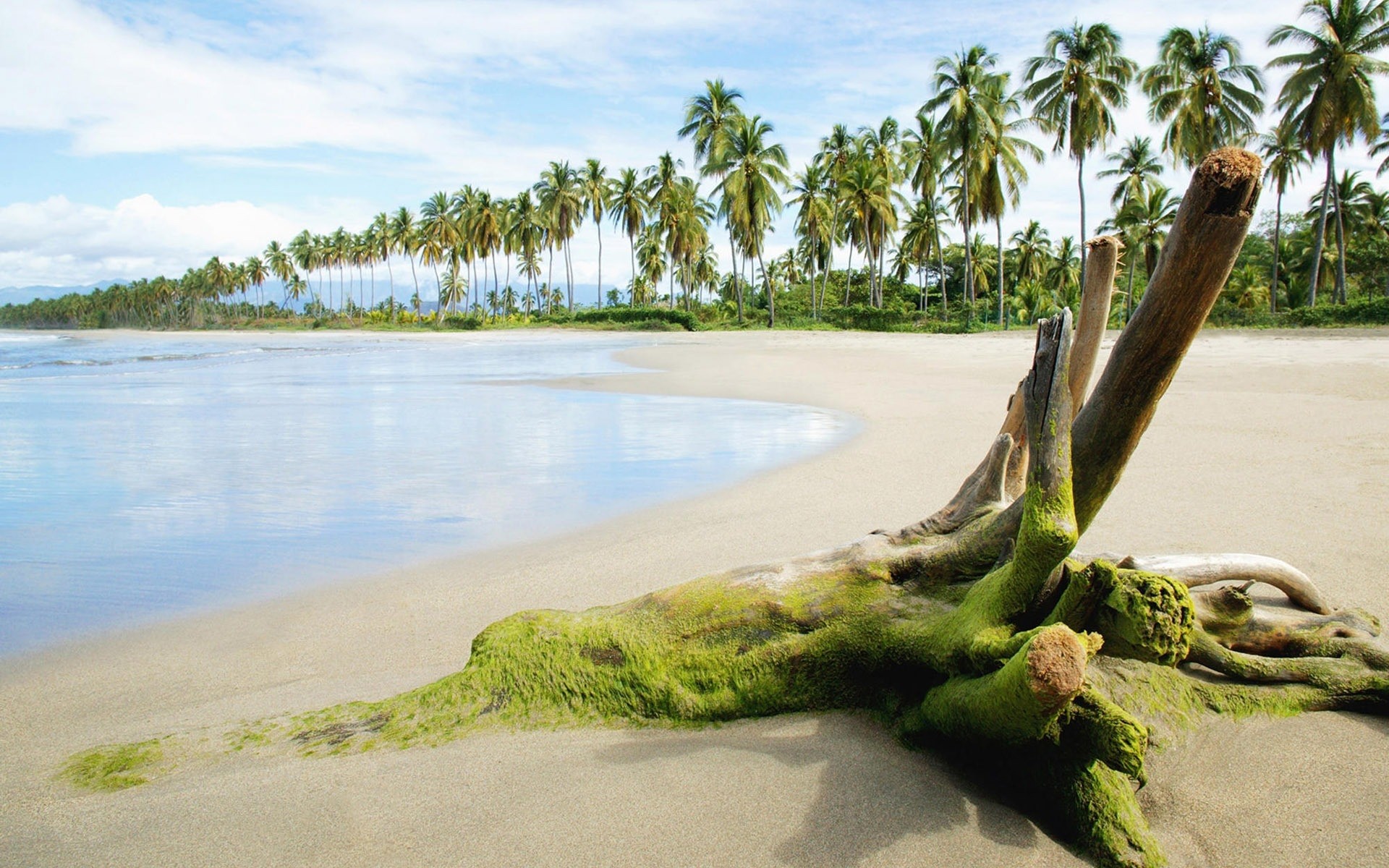 verão água mar praia viajar tropical areia oceano natureza árvore paisagem mar férias céu ao ar livre