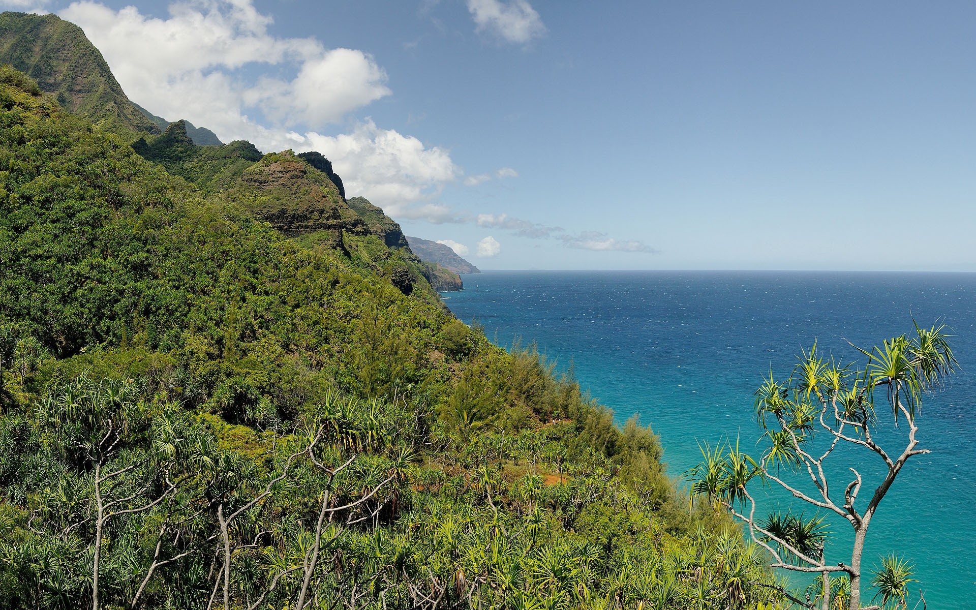 outras cidades natureza viagens paisagem água mar céu ilha tropical árvore mar montanhas verão ao ar livre oceano cênica praia madeira bela colina árvores verde