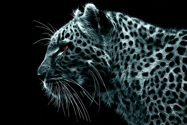 A beautiful leopard. Aesthetics of specks