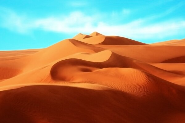 Une dune de sable s élève sur ce terrain