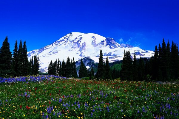 Picturesque snowy landscapes of the mountains