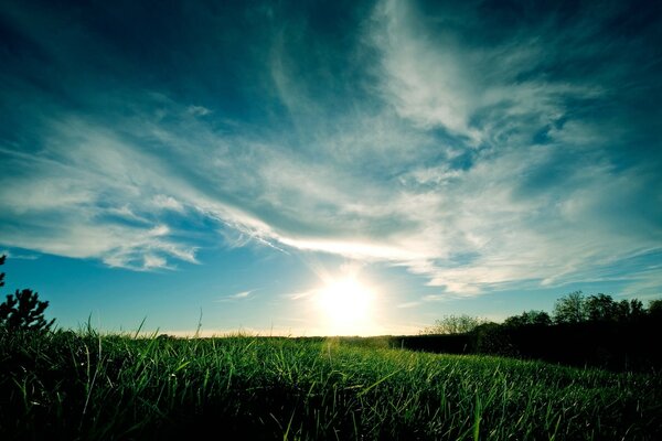 Amanecer de verano en un Prado verde