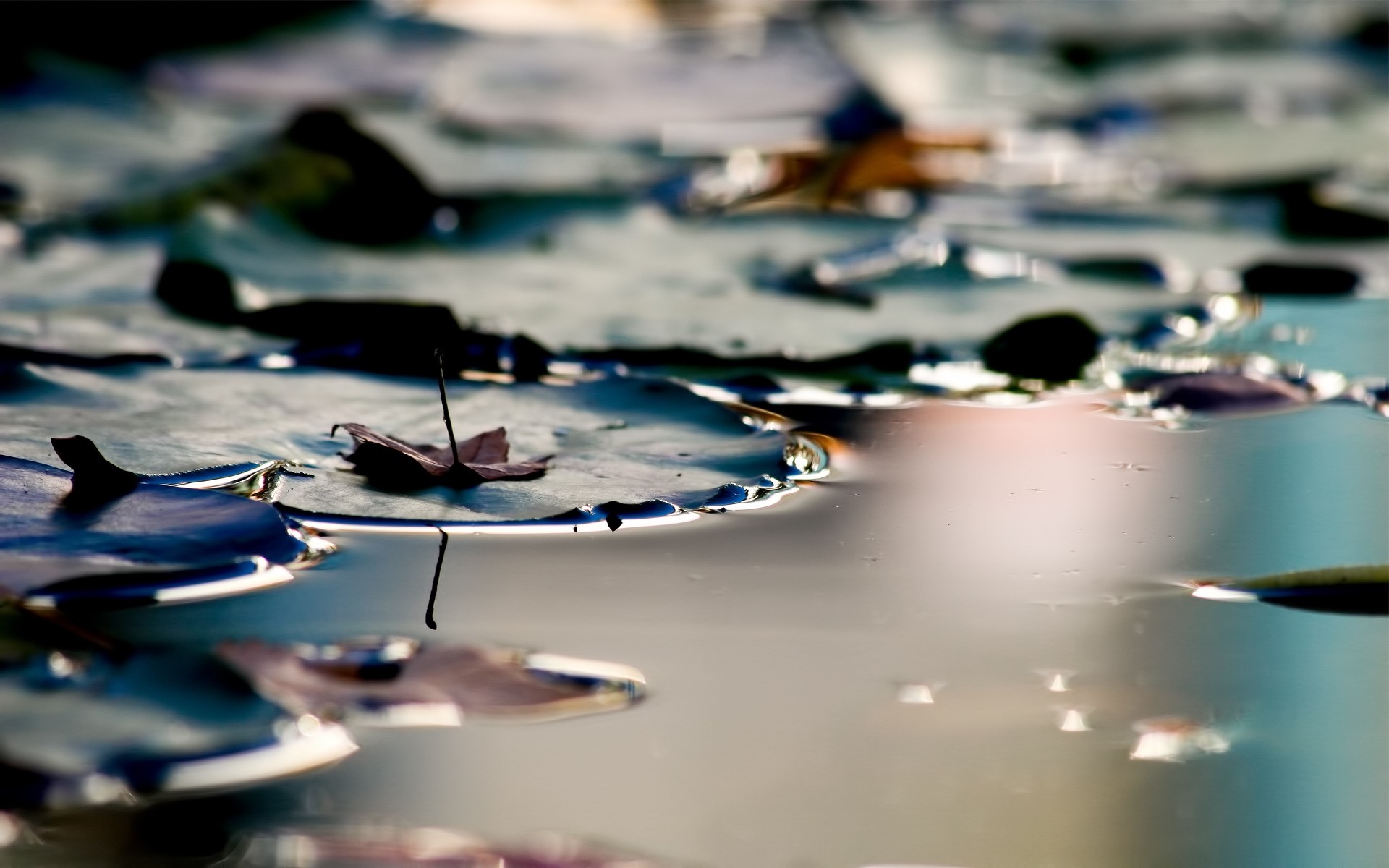 autunno riflessione acqua lago viaggio mare barca commercio paesaggio colore foglie