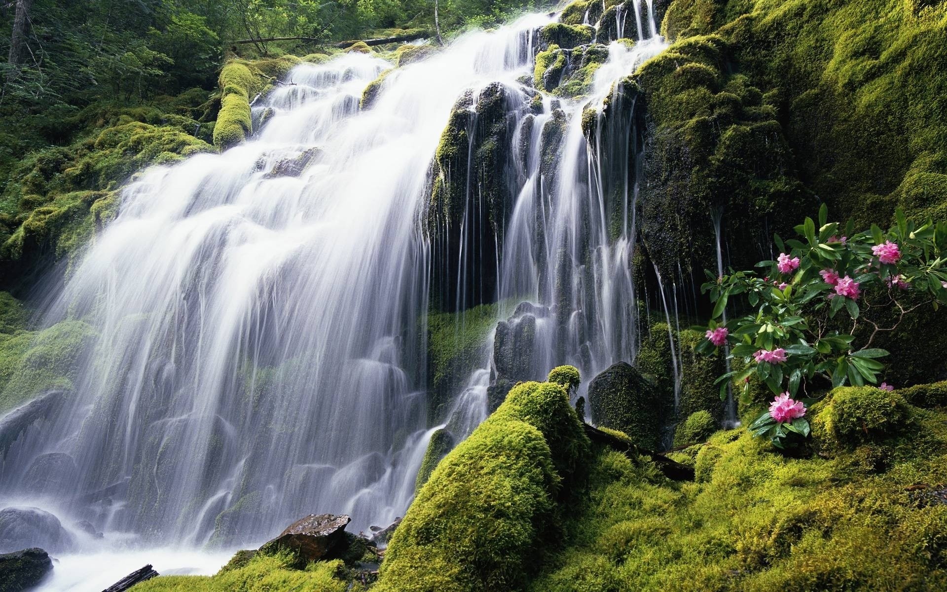 paesaggio cascata acqua natura legno fiume flusso cascata roccia all aperto paesaggio muschio viaggi foglia autunno montagna selvaggio bagnato flusso parco fiori verde erba