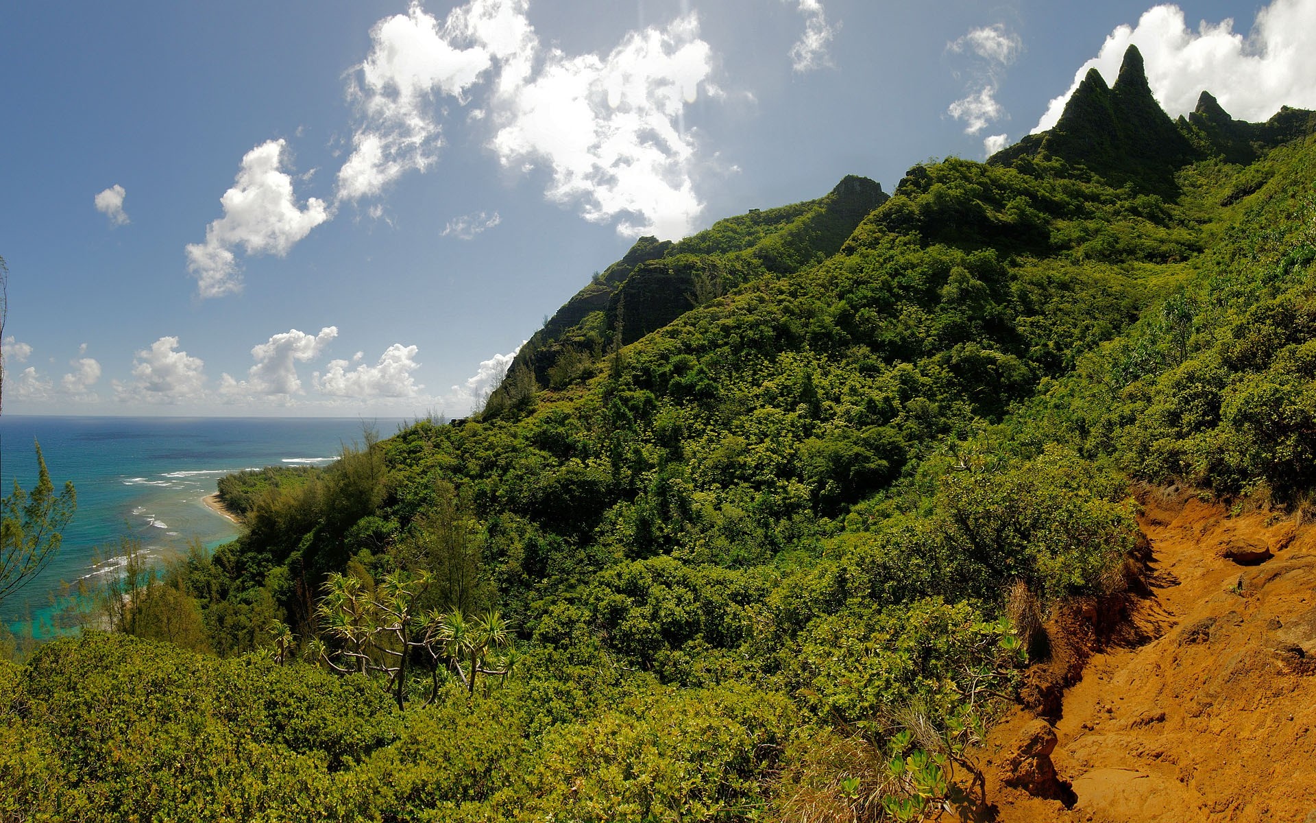 风景 旅游 景观 自然 山 水 户外 天空 树 风景 山 木 海 岛 夏天 日光 岩石 海 树木