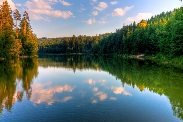 Reflejo del bosque de otoño en el río