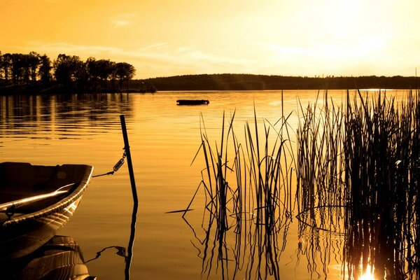 Heller Sonnenuntergang in der Reflexion des Sees