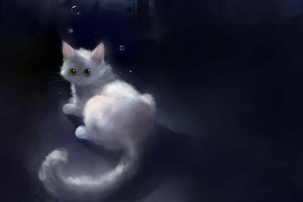 Portrait d un chaton blanc dans l obscurité