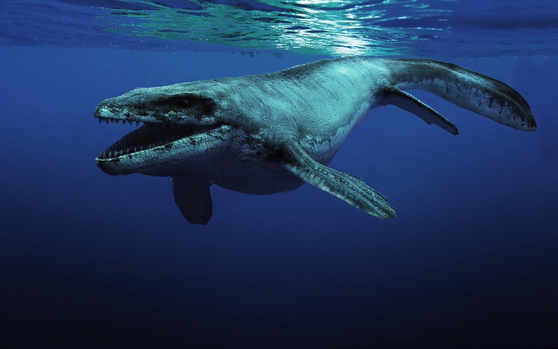 animales bajo el agua peces agua tiburón natación océano mar soplador de aire vida silvestre buceo dinosaurio