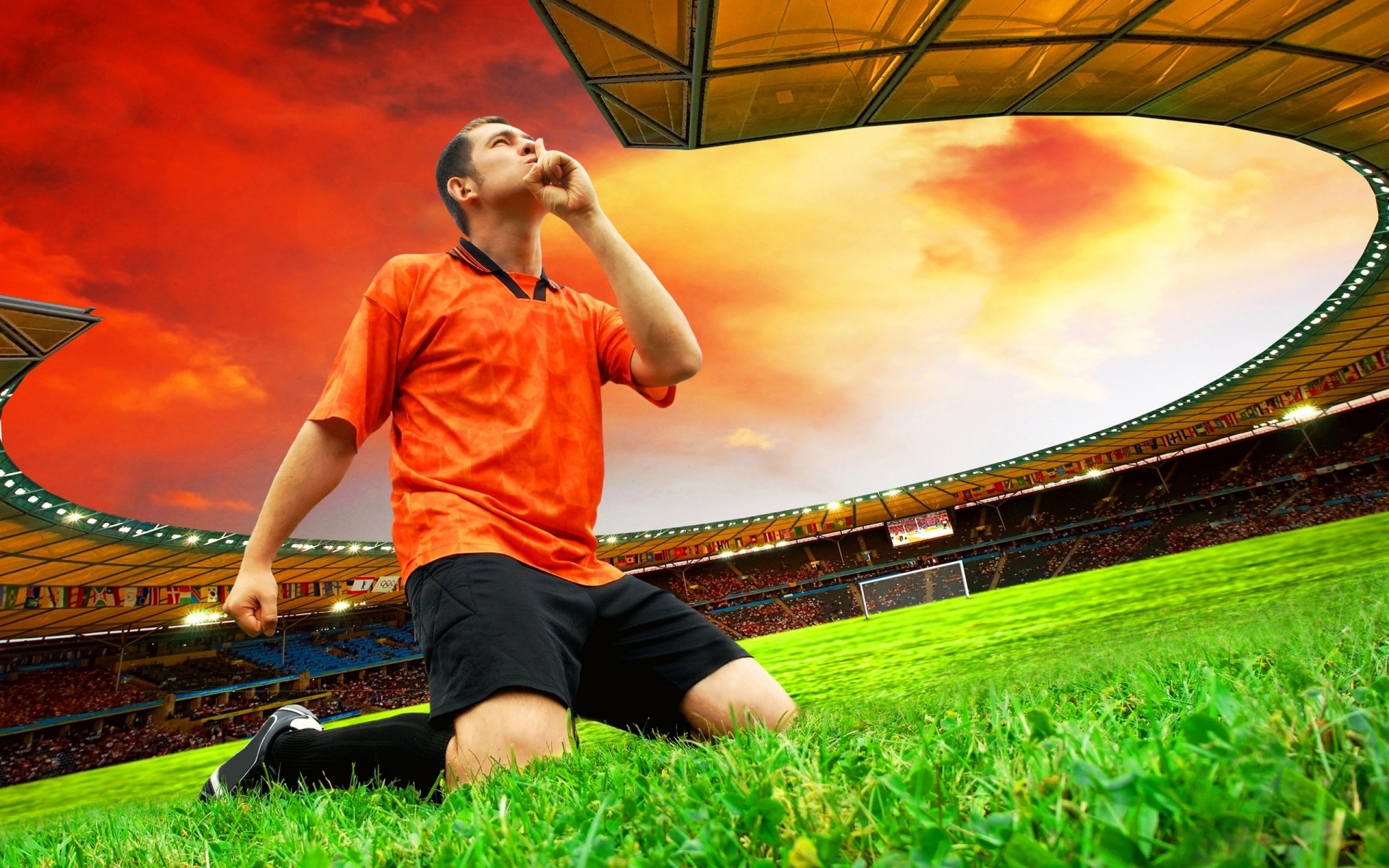 futebol futebol estádio grama música campo luz jogos esporte