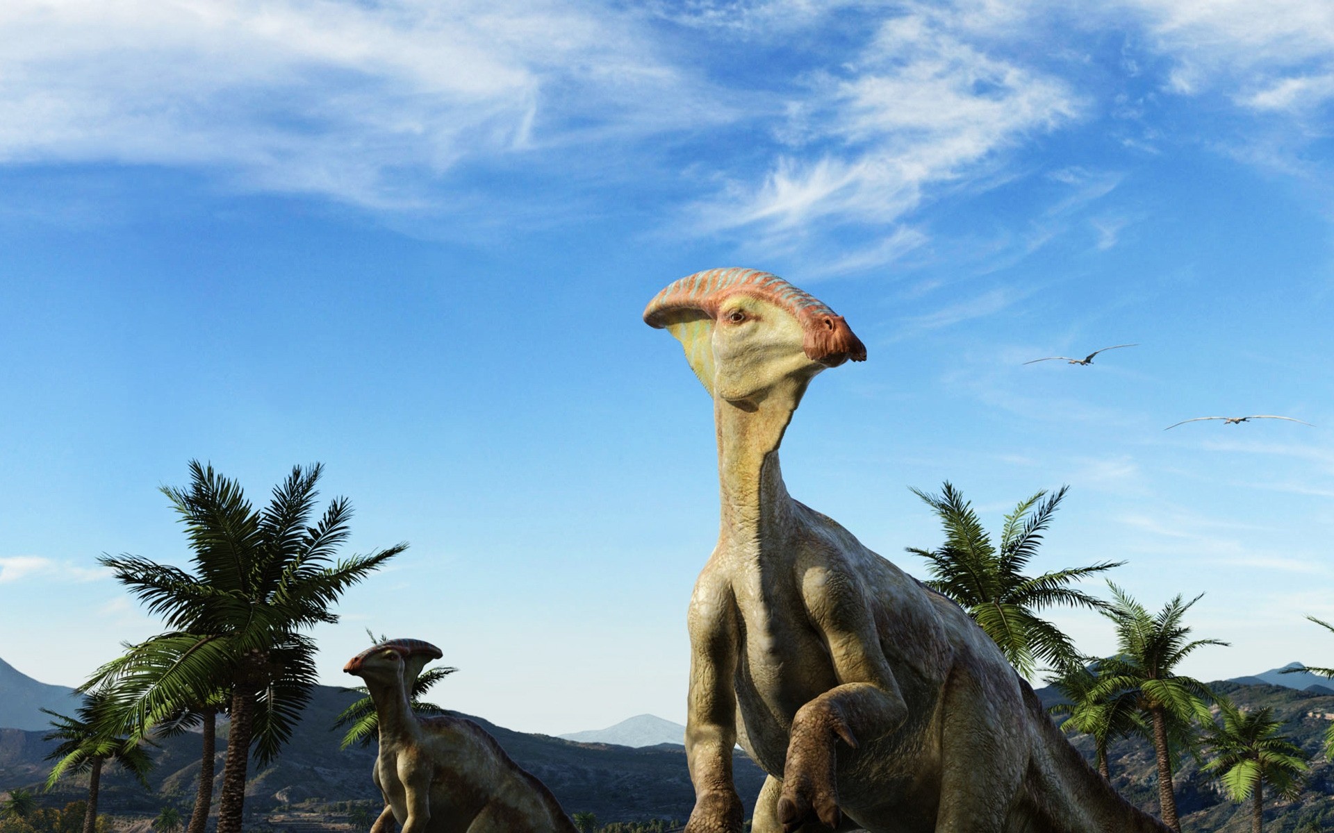 animals travel sky desert tourism outdoors daylight nature dinosaur