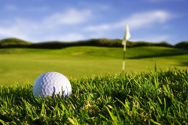 Campo da golf un minuto prima della vittoria