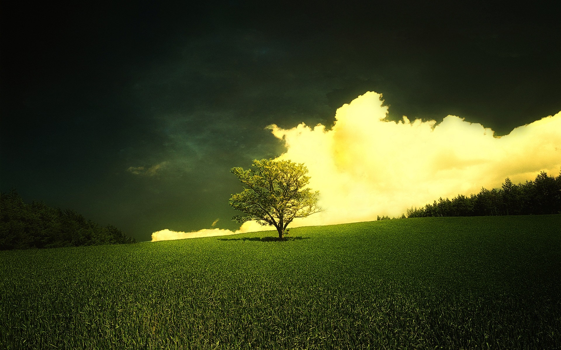 spring landscape dawn sunset nature countryside sun field tree rural sky grass outdoors light agriculture fair weather cropland evening storm weather scenary background green