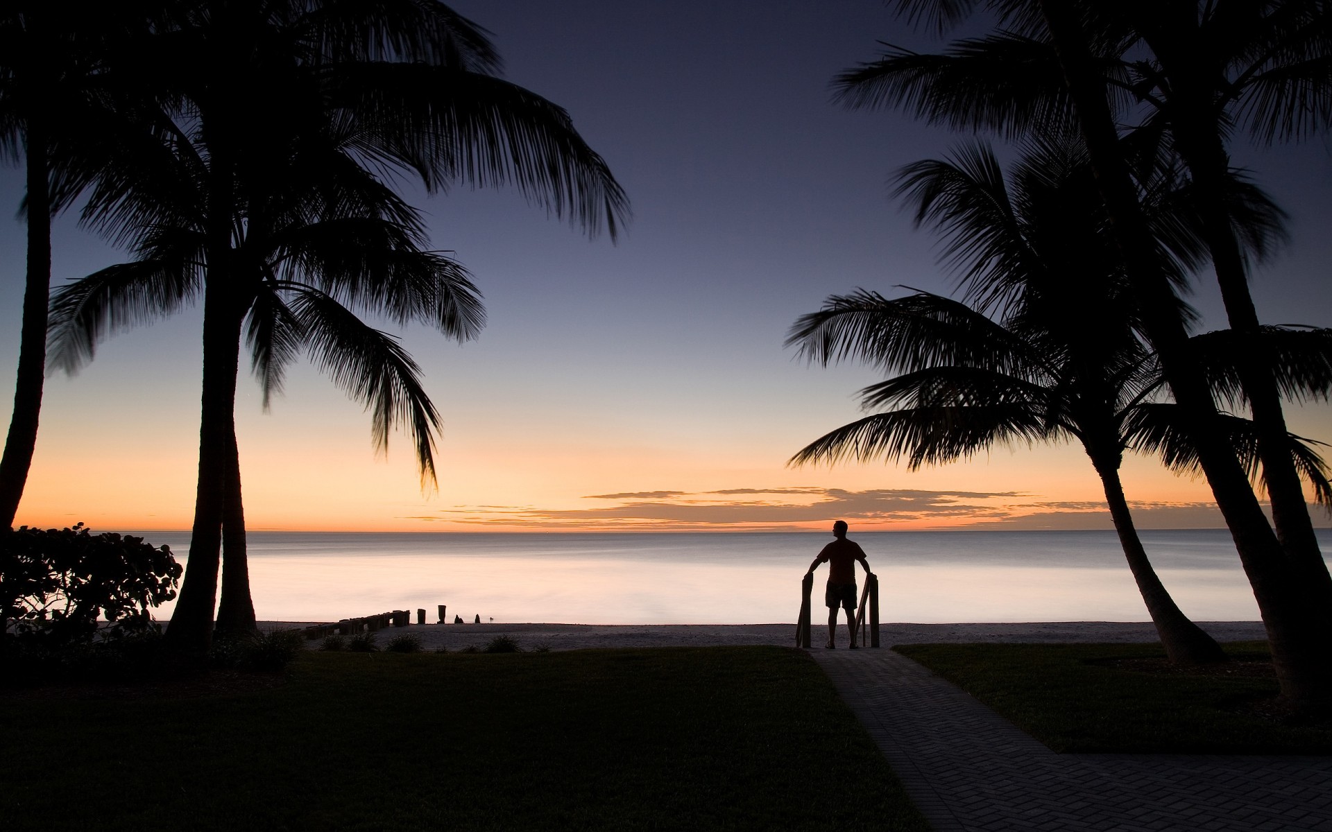 estate spiaggia oceano mare acqua sabbia sole tropicale viaggi albero isola tramonto idillio paesaggio palme palmyra