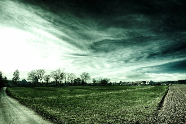 Ein grünes Feld in der Abenddämmerung