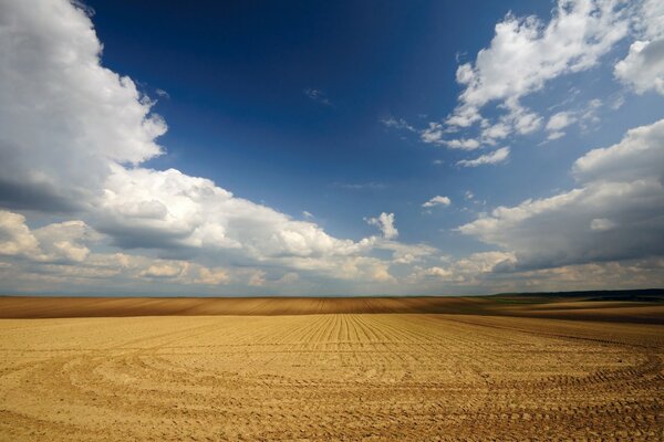 Natural landscape of a clear field and blue sky