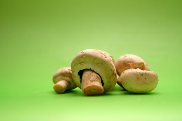 Mushrooms on a green background. Champignons