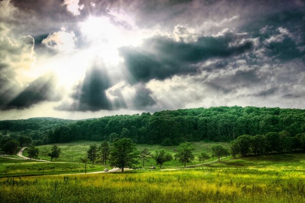 I raggi del sole che si infrangono e il tappeto dalla foresta