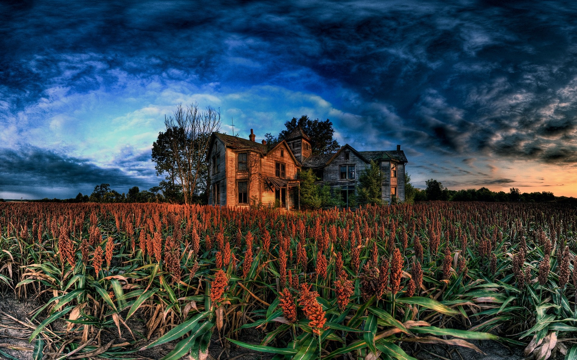 paesaggio agricoltura all aperto cielo fattoria paesaggio natura viaggi terra coltivata alba campo tramonto raccolto campagna crescita drc nuvole