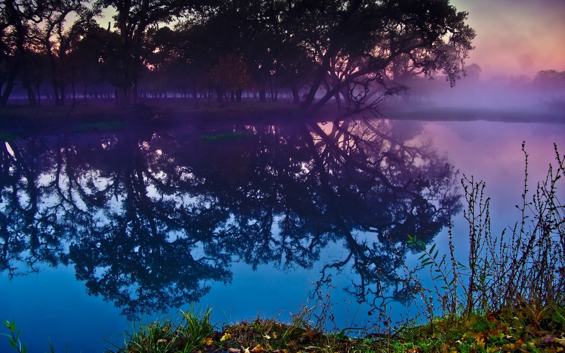 landschaft landschaft abend wasser himmel baum dämmerung natur dämmerung sonnenuntergang reflexion im freien see landschaftlich licht reisen holz nebel lila