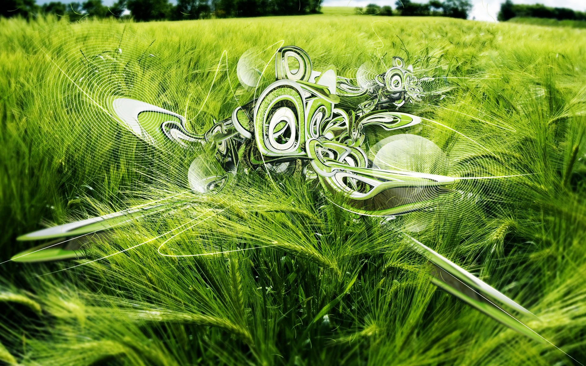 abstract grass nature hayfield flora summer field lawn environment bright growth desktop freshness scenary