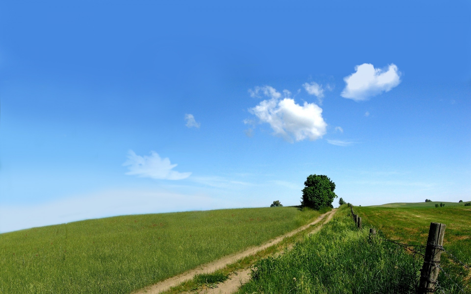 paysage paysage nature herbe ciel rural à l extérieur campagne été champ agriculture pâturage beau temps arbre foin idylle horizon soleil sol ferme fond arbres