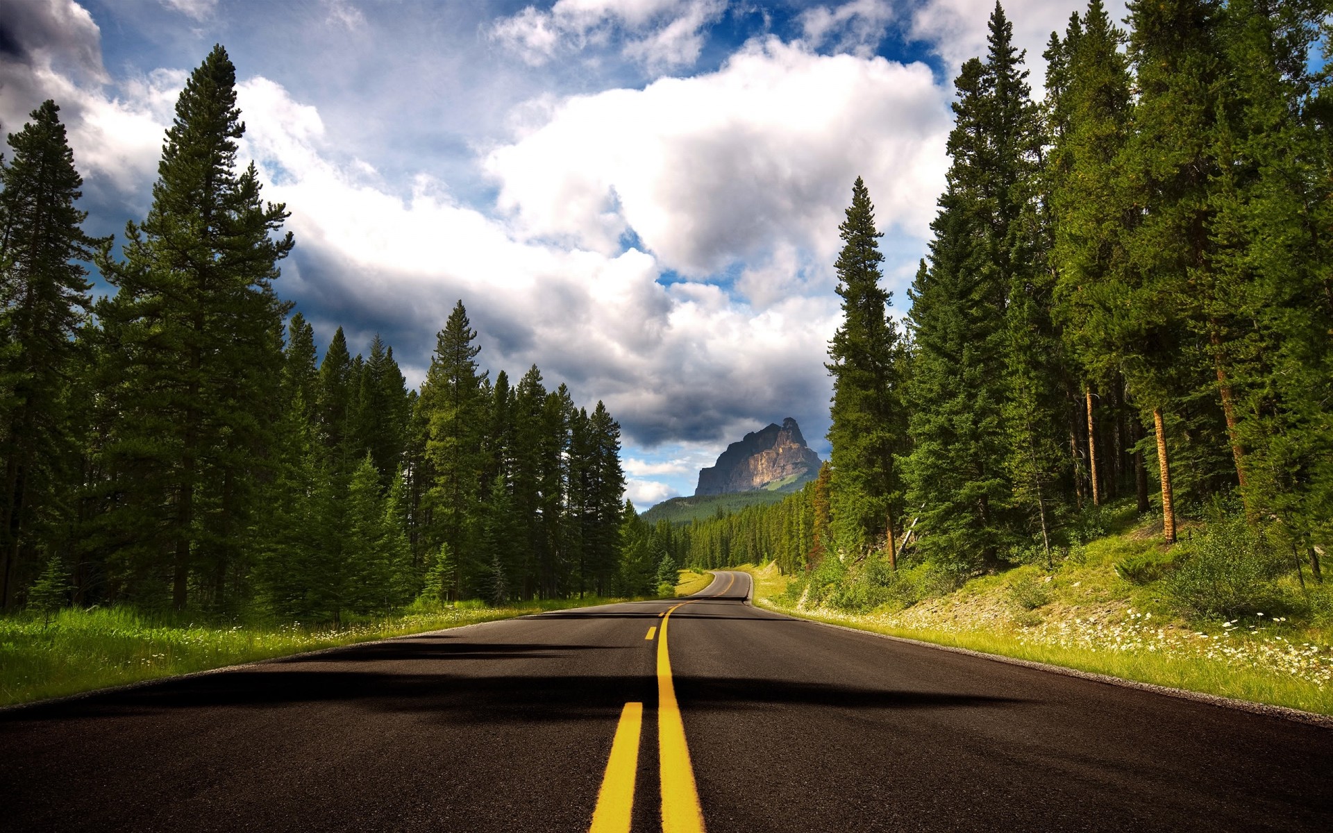 landschaft straße holz holz im freien natur reisen berge autobahn landschaft asphalt führung landschaftlich nadelholz tageslicht schnee evergreen wald bäume