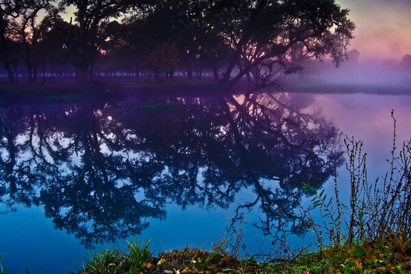 Abendlandschaft am Waldsee