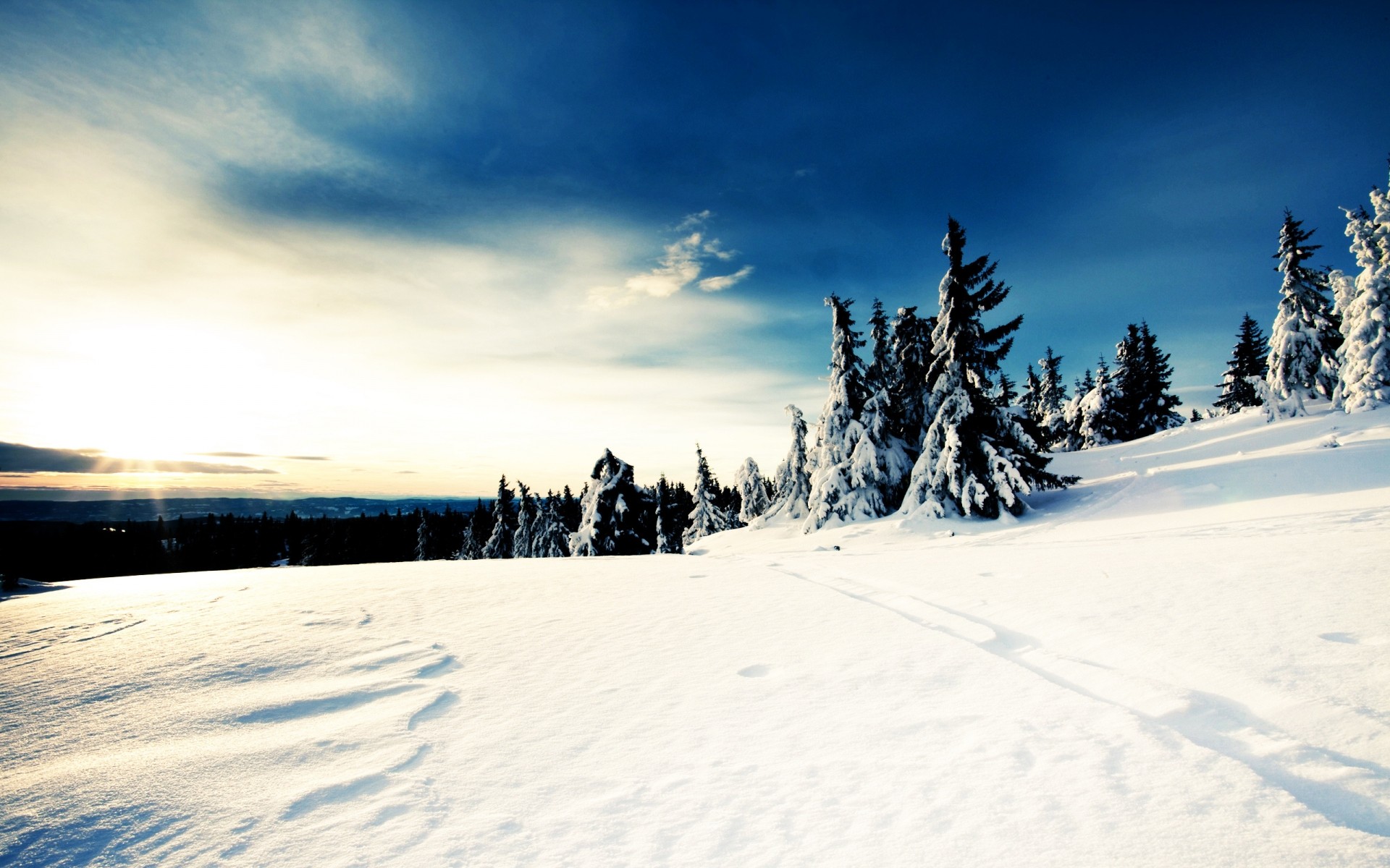 winter snow cold frozen frost landscape scenic ice mountain resort tree weather wood powder track season snowy hill trees sky white blue