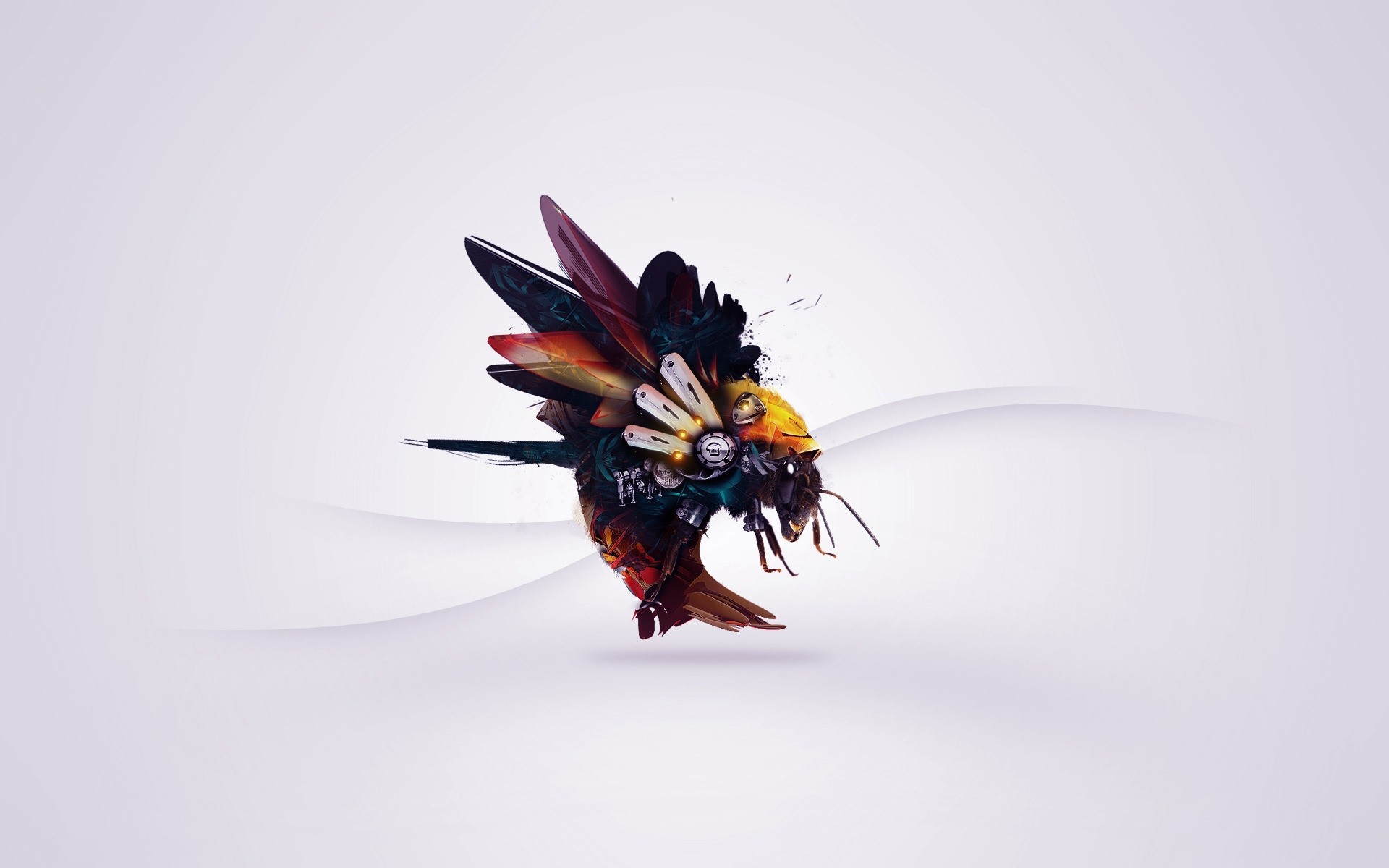 photo manipulation insect nature invertebrate one flower