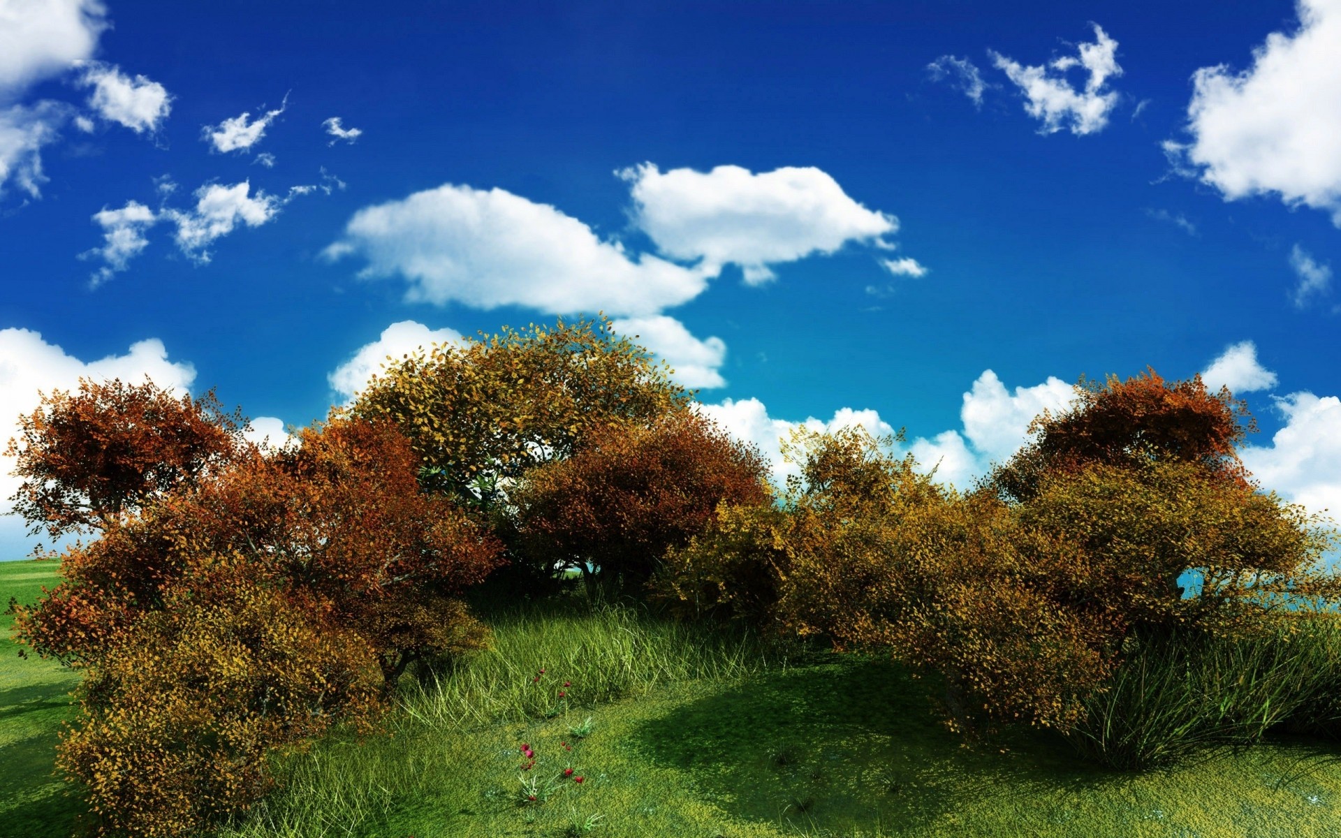 paysage arbre paysage nature ciel à l extérieur bois herbe aube voyage lumineux plantes arbres fond