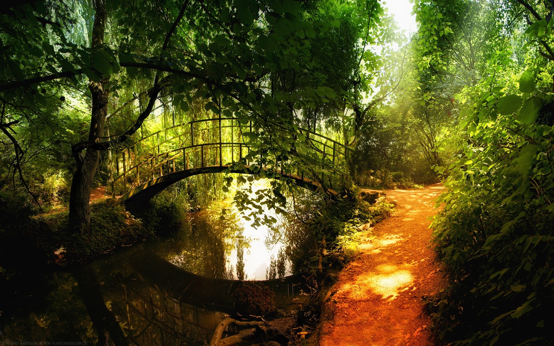 paisagens madeira paisagem árvore folha natureza parque outono amanhecer luz exuberante sol bom tempo névoa ao ar livre ambiente névoa floresta água flores