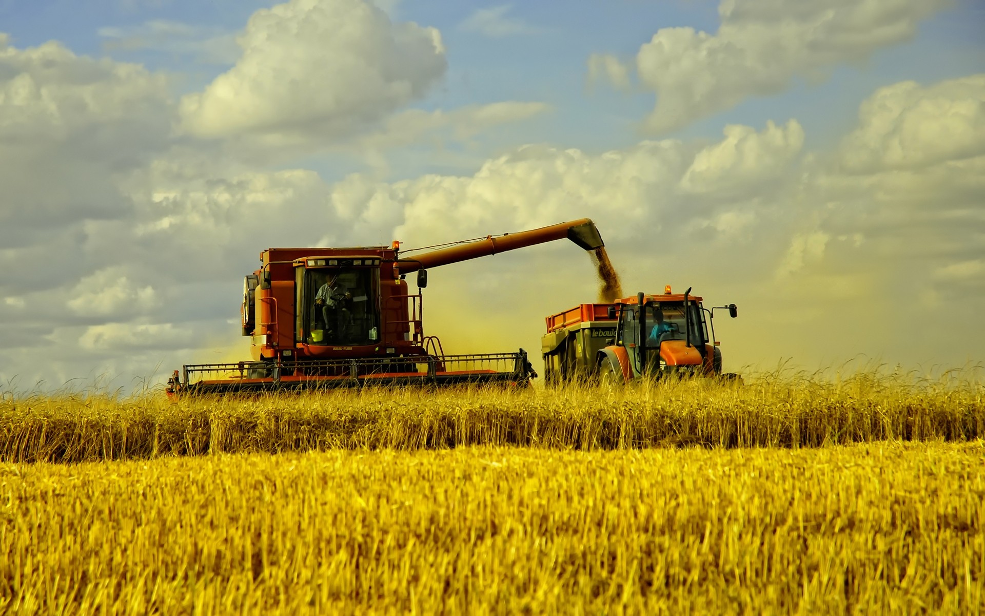 paesaggio agricoltura fattoria cereali industria grano raccolto campo pascolo rurale mais all aperto terreno coltivato macchina campagna silo ambiente paesaggio cielo suolo