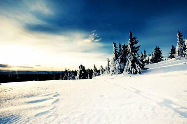 Belle journée ensoleillée d hiver