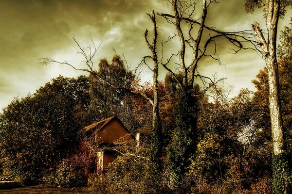 Landschaft der Natur mit einem Haus hinter Bäumen