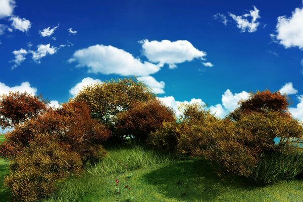 Bäume auf Himmelshintergrund mit Wolken