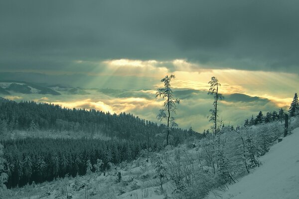 Verschneite Berglandschaft an einem bewölkten Tag