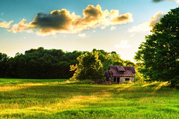 A lonely fairy-tale house in the forest