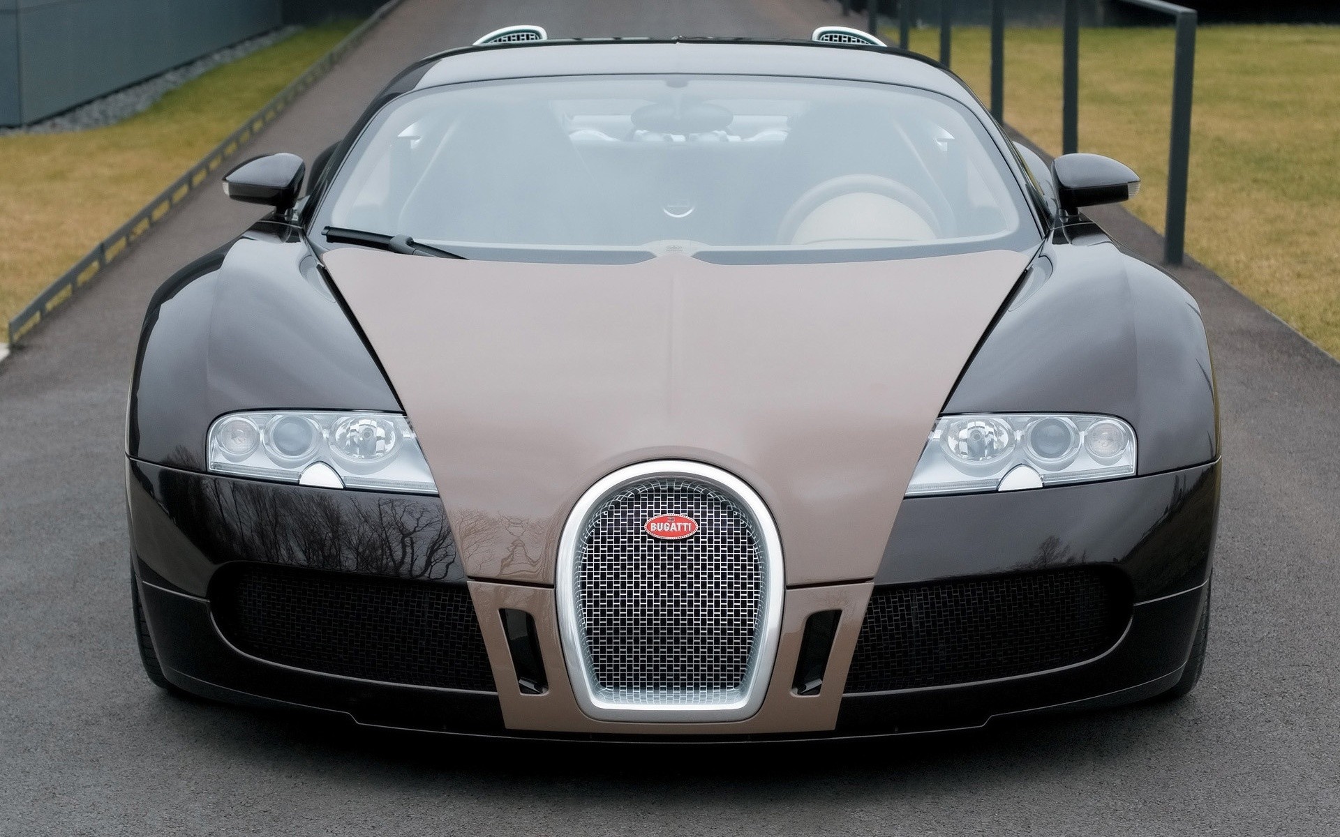 bugatti car vehicle wheel transportation system fast coupe drive hurry show hood asphalt bugatti veyron