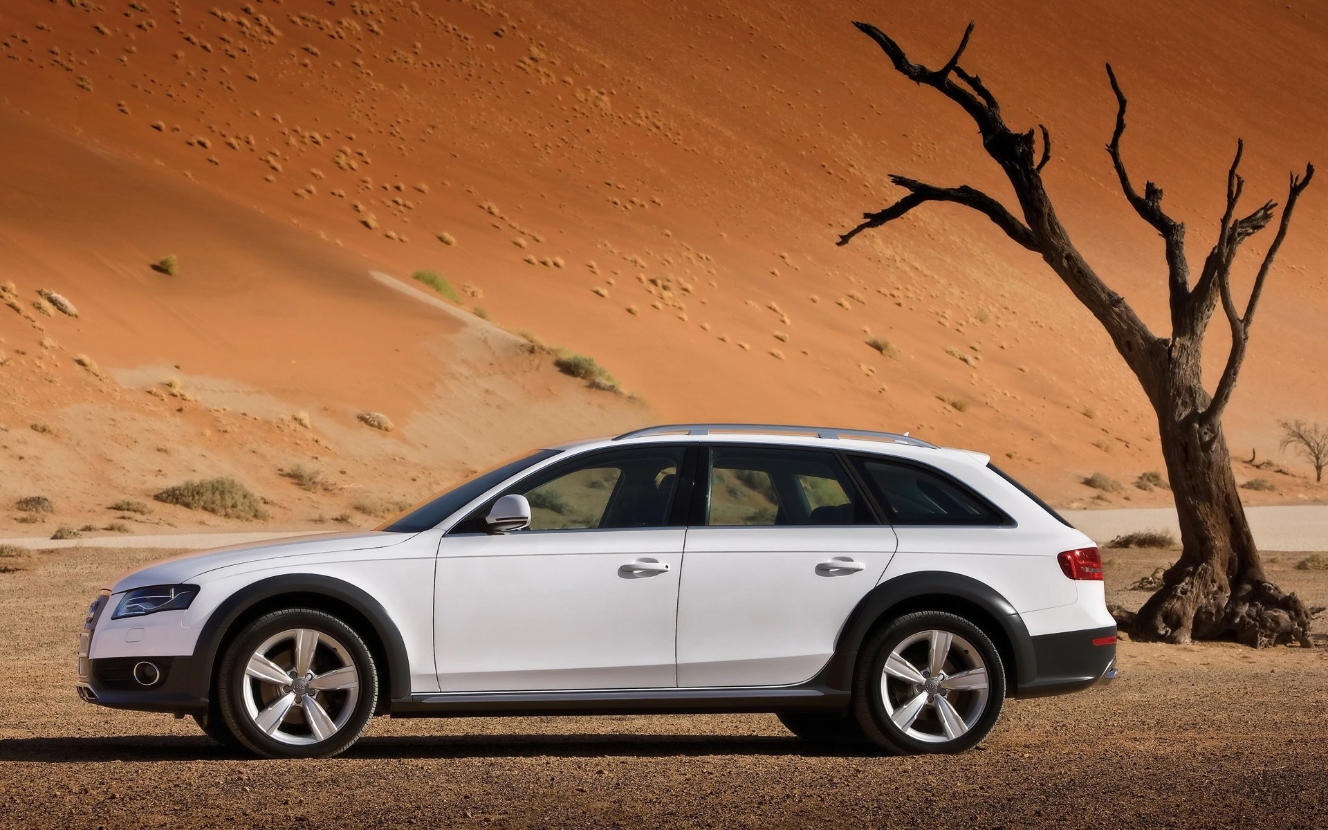 audi auto auto tramonto paesaggio deserto automobile fretta audi allroad audi a4