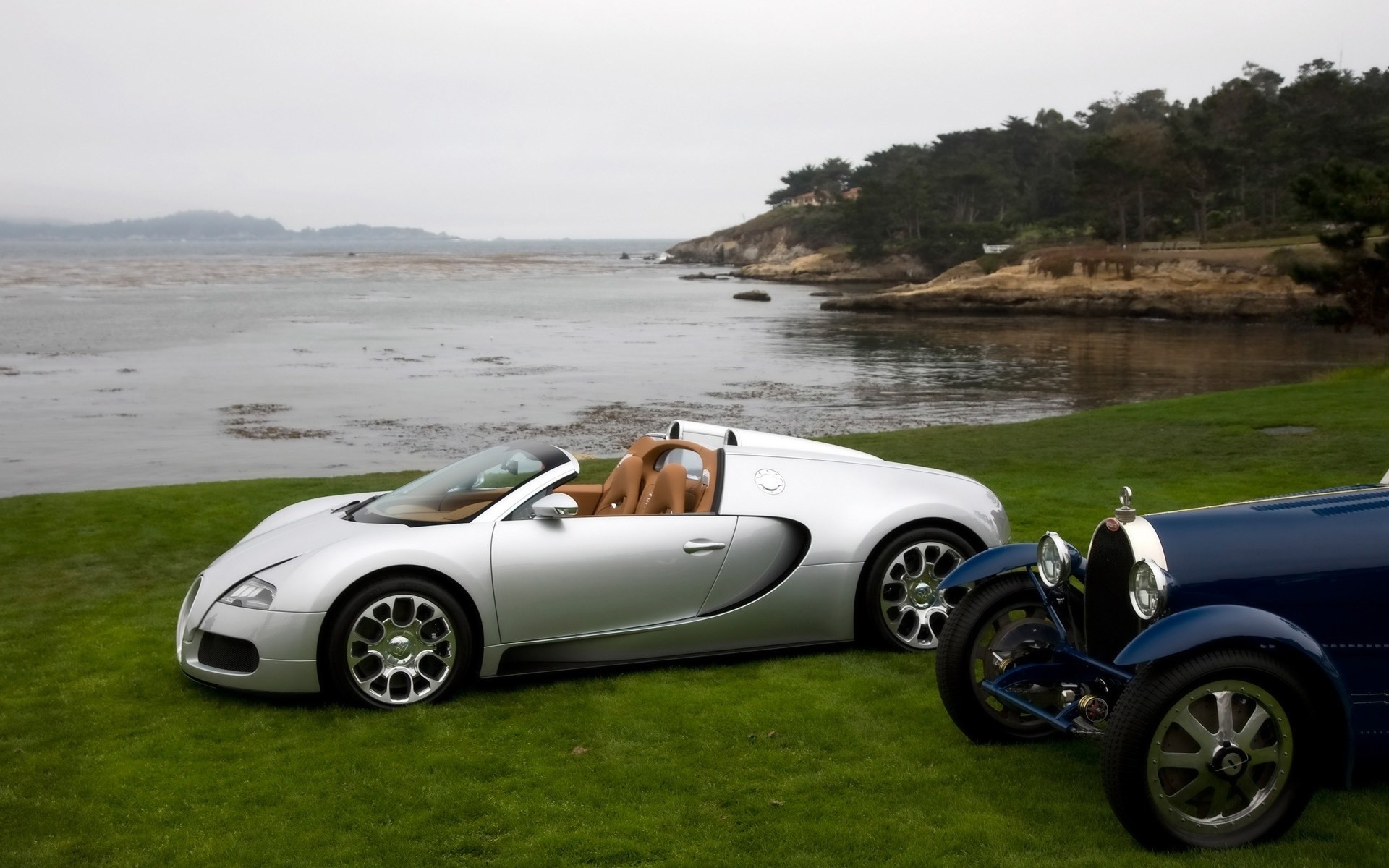 bugatti voiture véhicule système de transport convertible disque roues rapide bugatti veyron bugatti veyron blanc