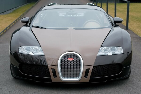 The predatory muzzle of a luxury car