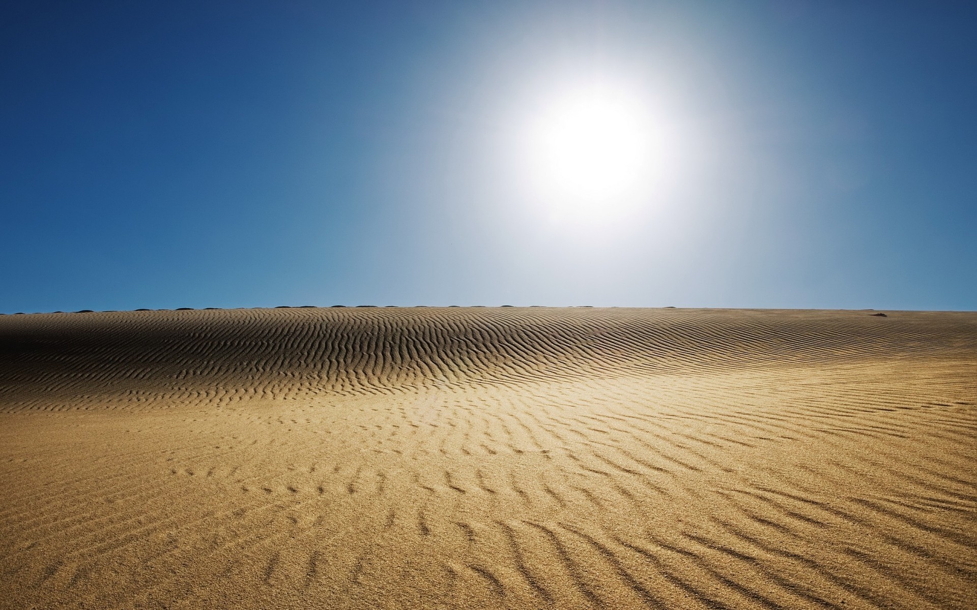 landschaft sand düne wüste heiß unfruchtbar trocken aride strand landschaft natur allein sonne gutes wetter reisen sommer himmel hintergrund