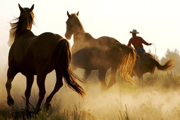 The cavalry is being driven across the boundless steppe