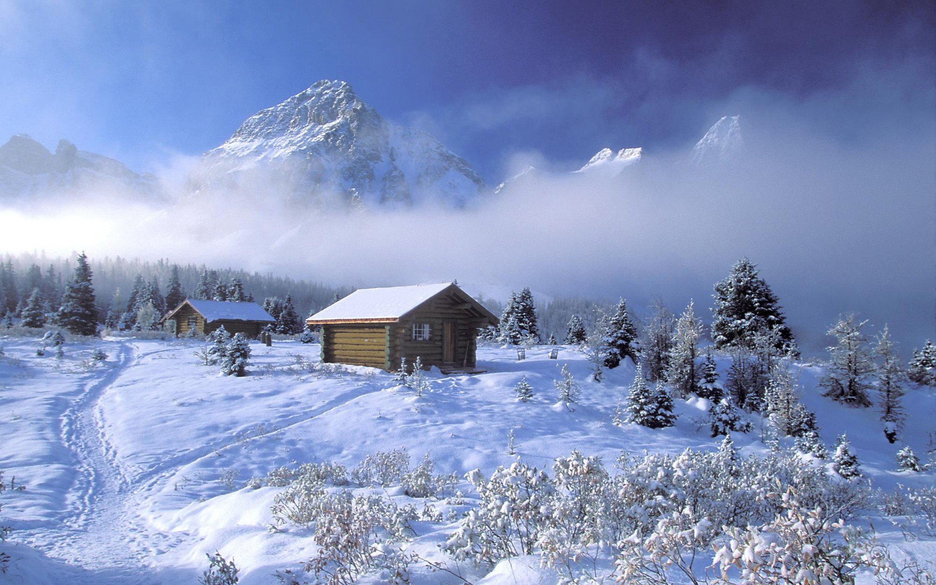 winter schnee kälte gefroren frost eis holz hütte chalet landschaftlich berge landschaft verschneit jahreszeit wetter baum resort frostig schneewehe evergreen bäume