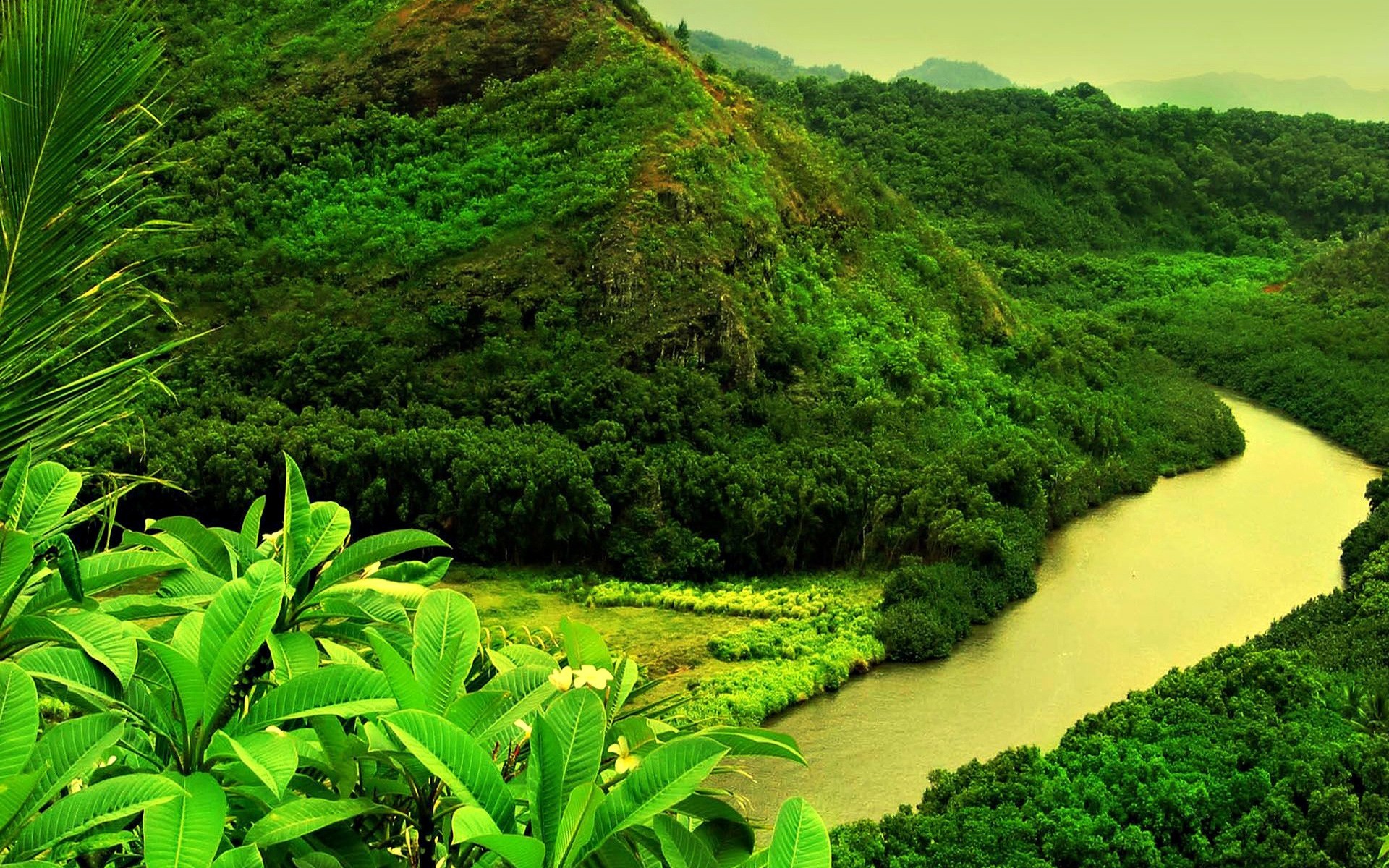 landschaft natur tropisch wasser landschaft reisen blatt baum im freien üppig holz flora sommer landschaftlich berge aufstieg gras umwelt hügel regenwald frühling bäume