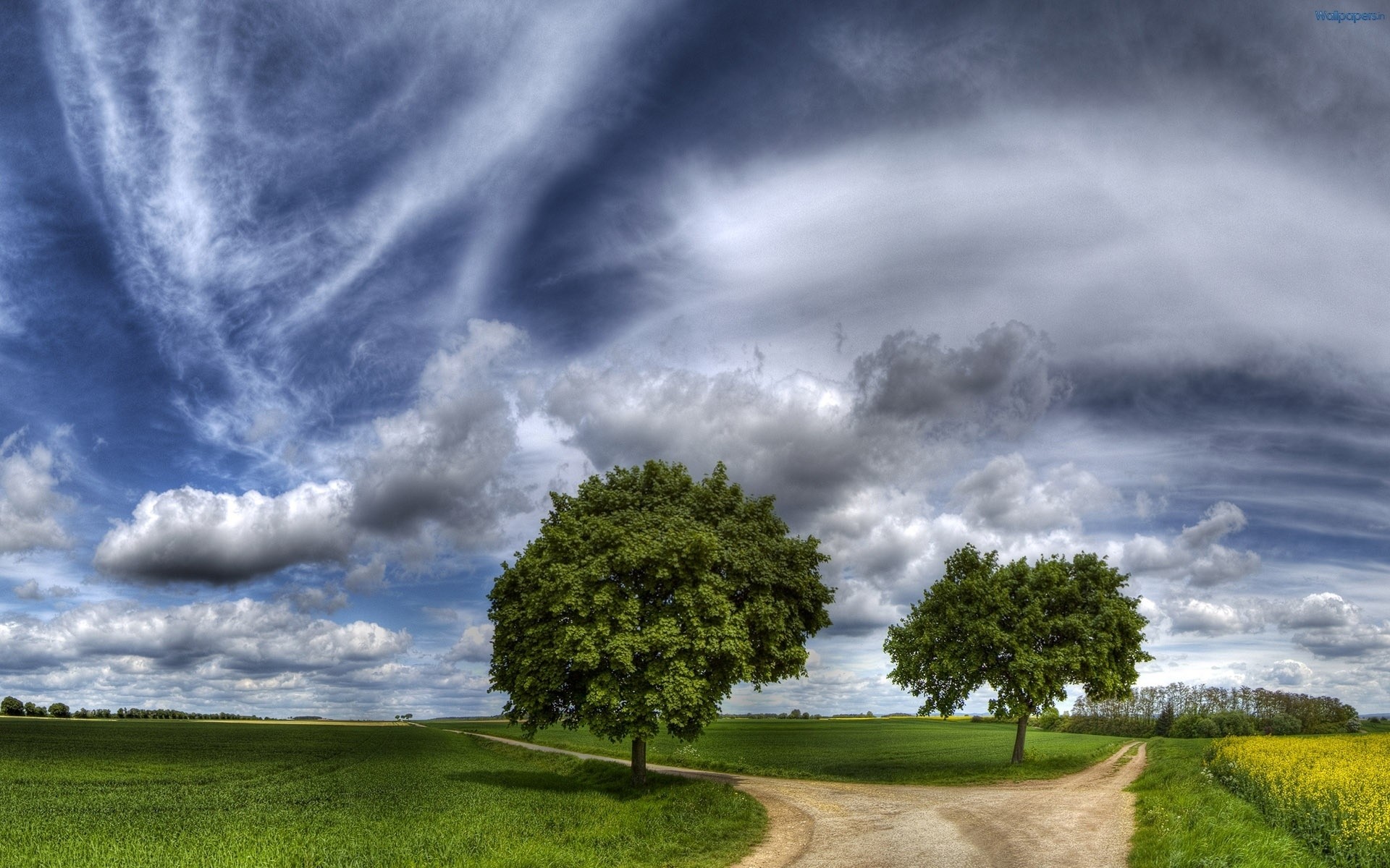 paisaje tormenta cielo naturaleza paisaje hierba al aire libre rural tiempo nube lluvia tormenta eléctrica campo verano dramático árbol sol puesta de sol buen tiempo nublado verde fondo