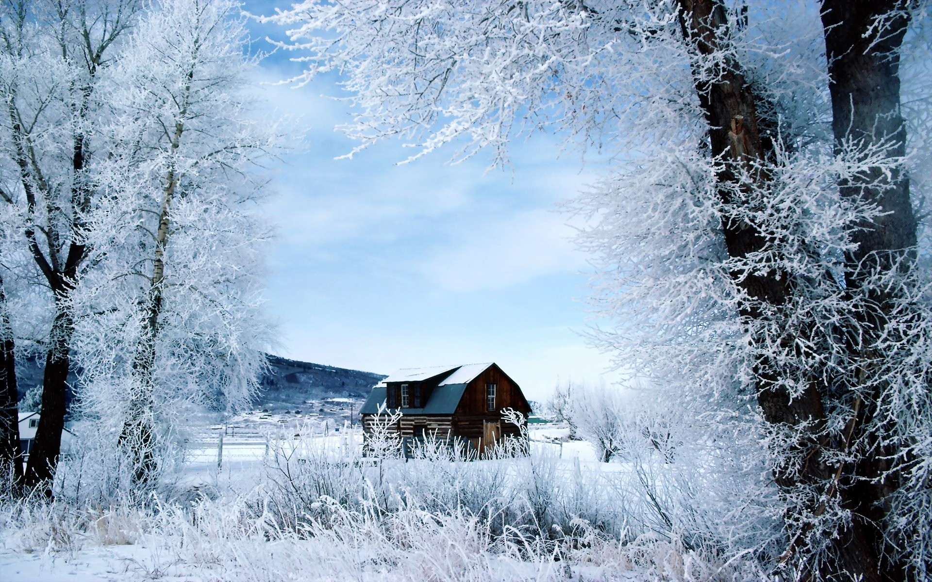 winter snow frost cold frozen wood ice frosty weather season landscape snow-white tree nature icy scenic snowy house trees