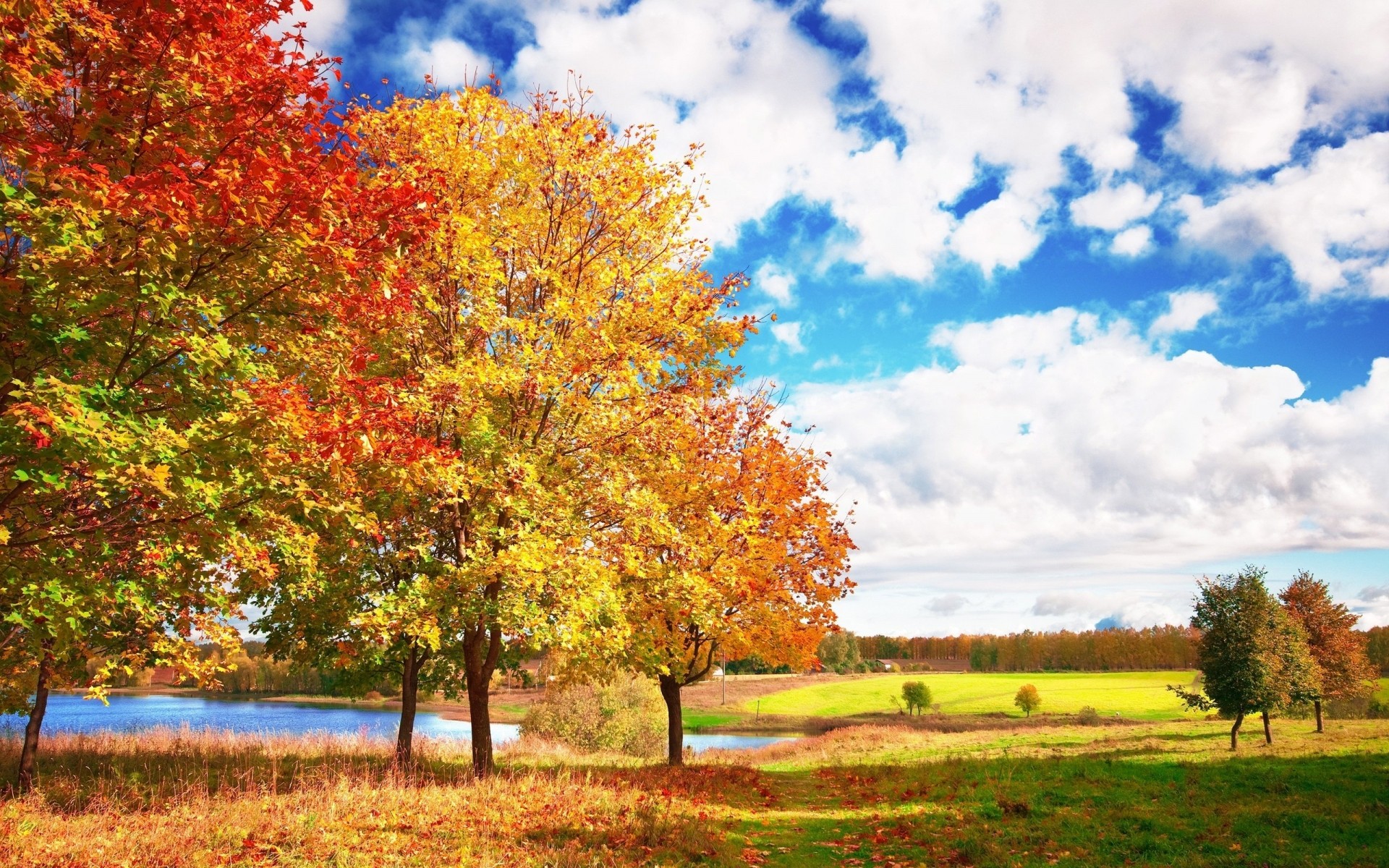 herbst herbst baum landschaft blatt saison natur landschaft landschaft holz szene park landschaftlich hell landschaft im freien gutes wetter zweig land farbe bäume grad der clolors see blätter hintergrund